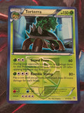 Torterra (Team Plasma) - 3/135 - Plasma Storm - Rare - LP - Pokemon