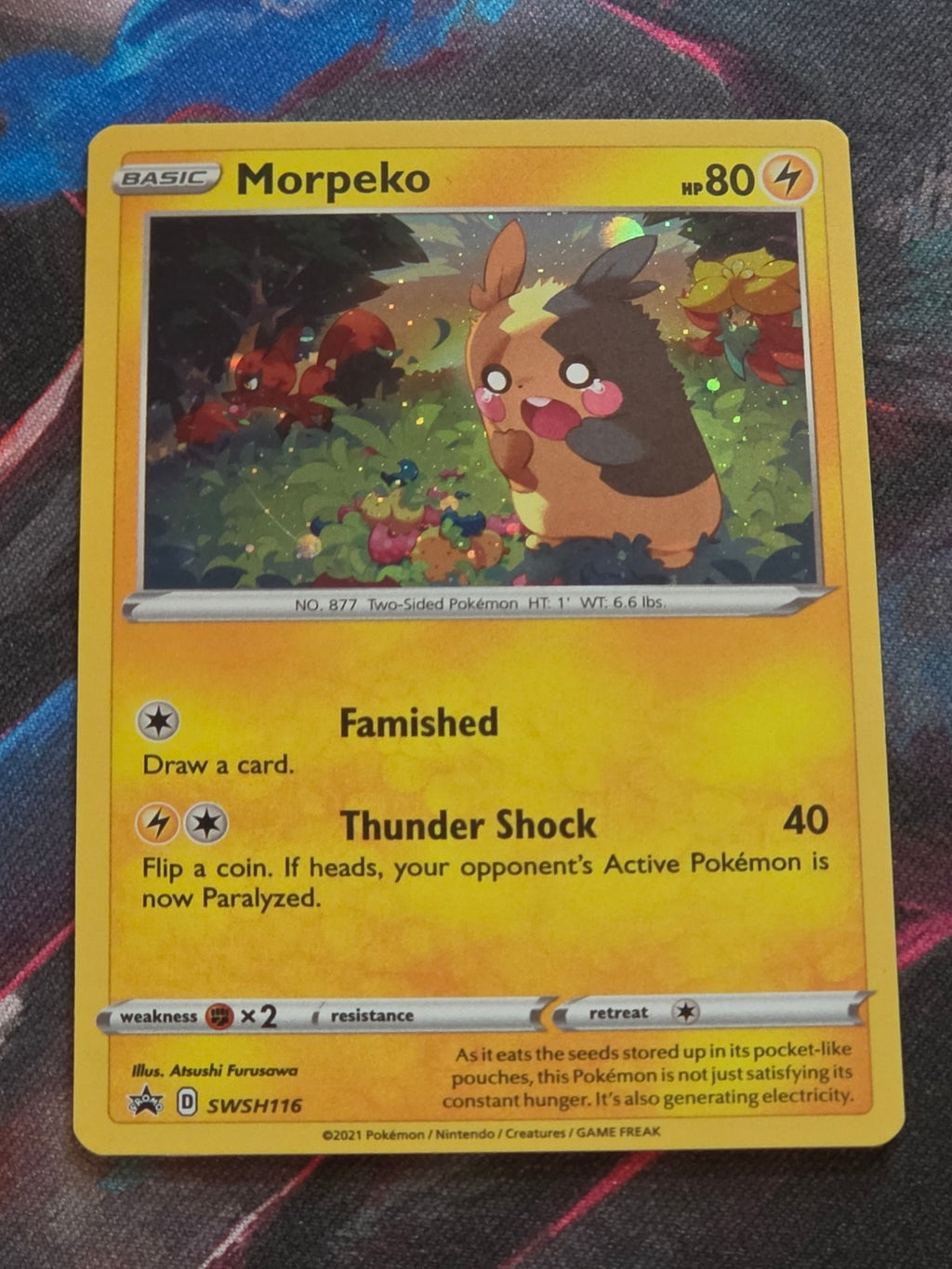 Morpeko - SWSH116 - SWSH: Sword & Shield Promo Cards - Promo - NM Pokemon