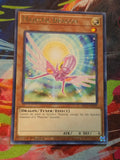 Majestic Dragon Rare King's Court KICO-EN032 LP