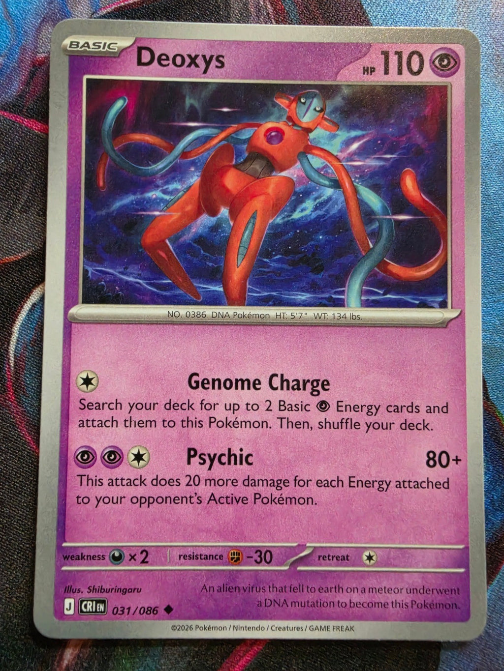 Image #1