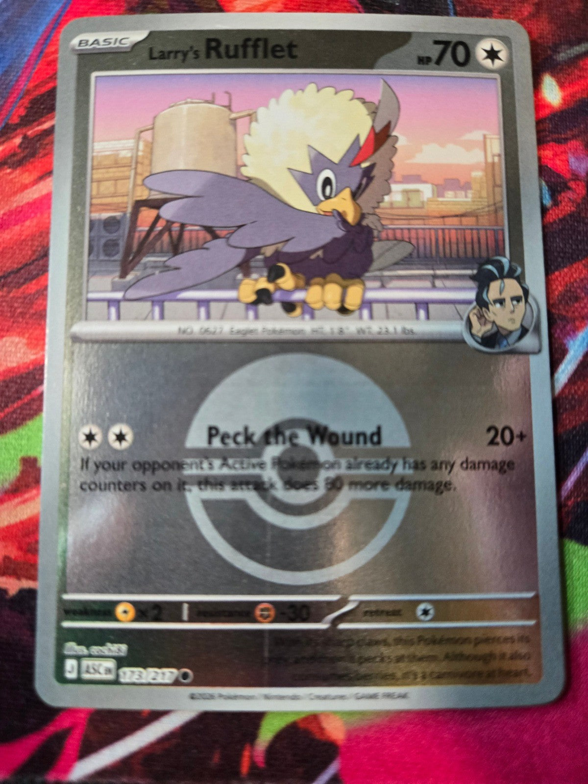 Image #1