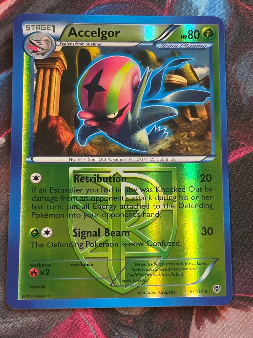 Accelgor (Team Plasma) - 8/101 - Plasma Blast - Rare - Reverse Holo - LP - Pokemon
