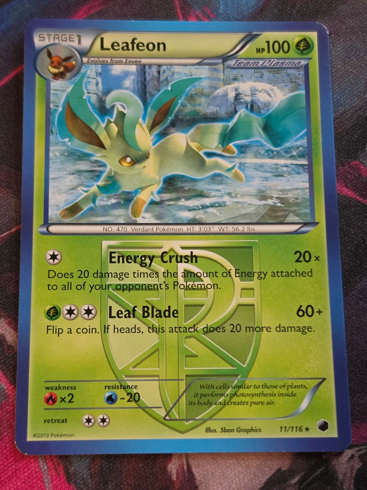 Leafeon (Team Plasma) - 11/116 - Plasma Freeze - Rare - NM - Pokemon