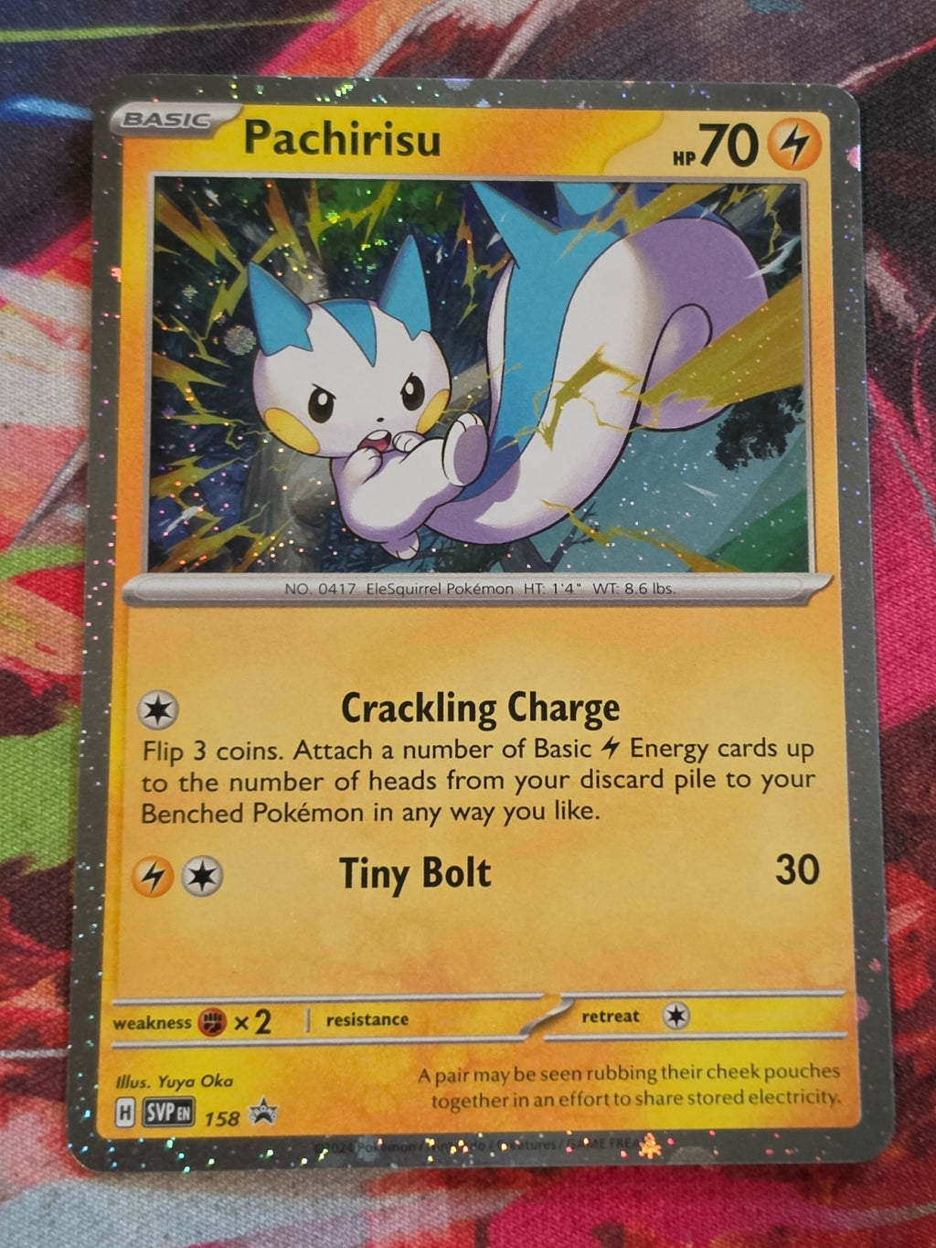 Pachirisu - 158 - SV: Scarlet & Violet Promo Cards - Promo - NM Pokemon