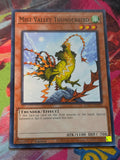 Mist Valley Thunderbird Common Hidden Arsenal: Chapter 1 HAC1-EN056 LP
