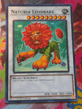 Naturia Leodrake Common Hidden Arsenal: Chapter 1 HAC1-EN121 LP