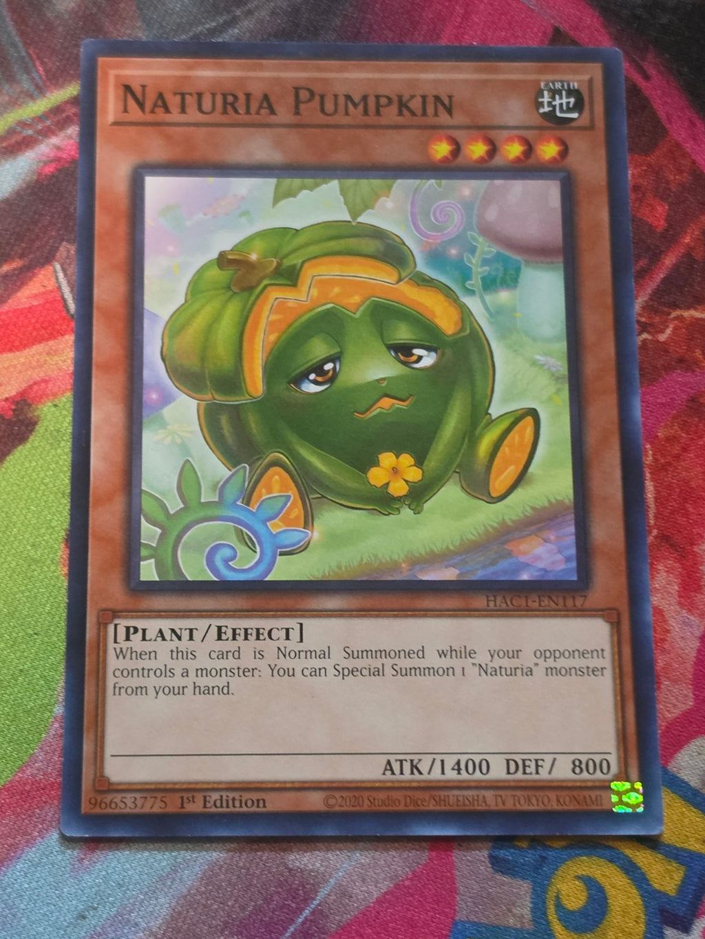Naturia Pumpkin Common Hidden Arsenal: Chapter 1 HAC1-EN117 LP
