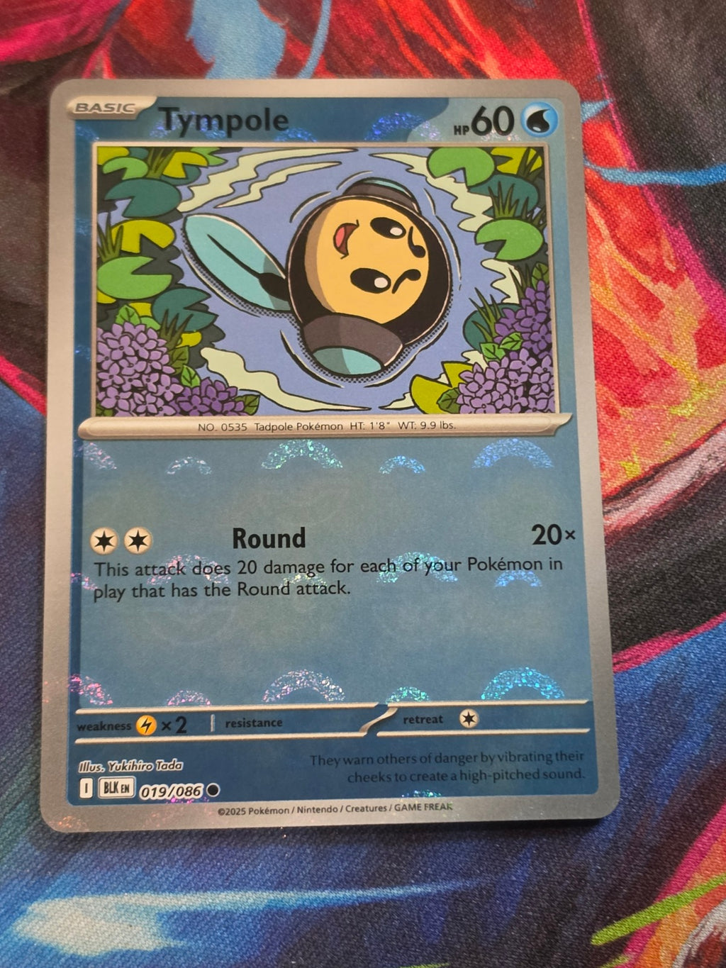 Tympole (Poke Ball Pattern) Common Black Bolt 019/086 NM Pokemon