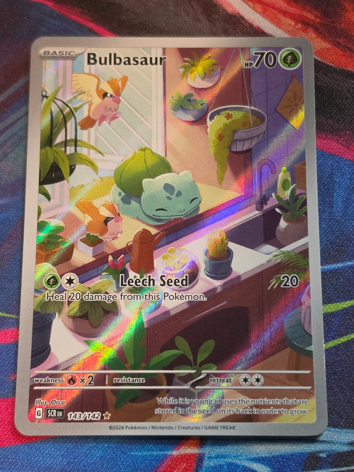 Bulbasaur Illustration Rare Stellar Crown 143/142 NM Pokemon