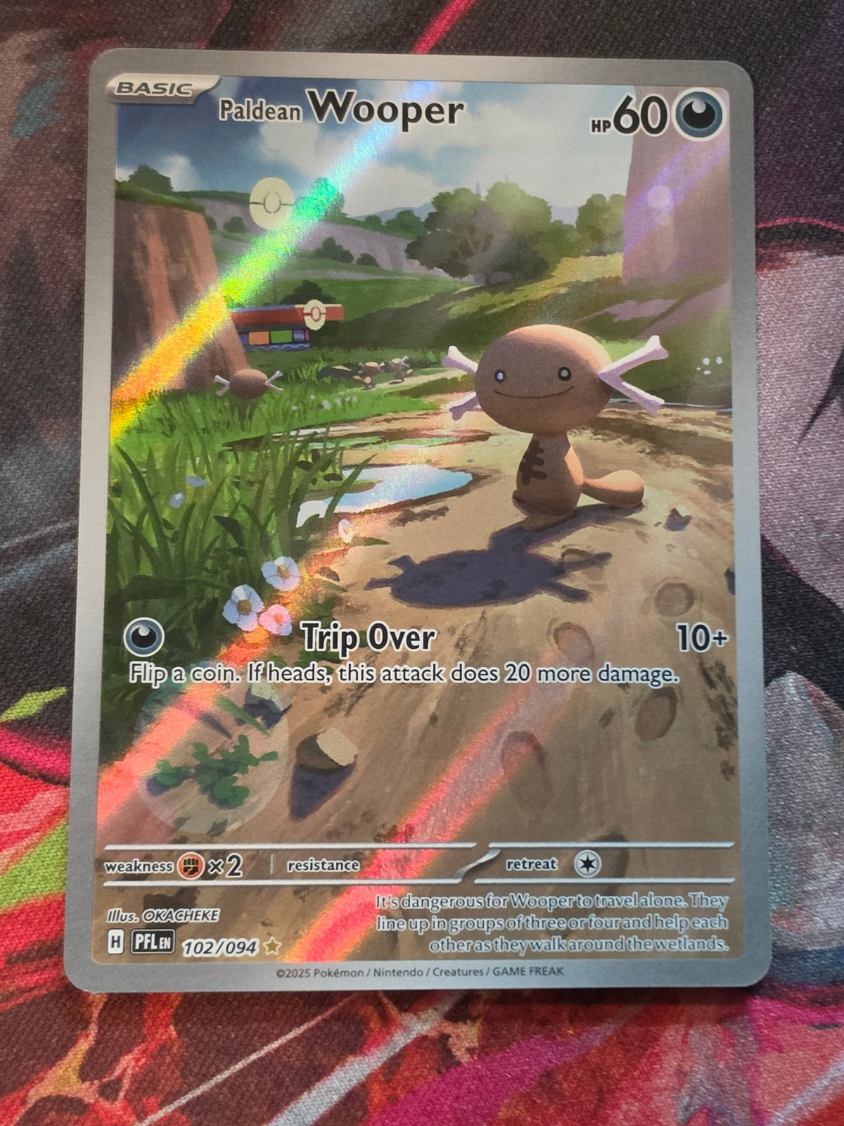 Paldean Wooper Illustration Rare Phantasmal Flames 102/094 NM Pokemon