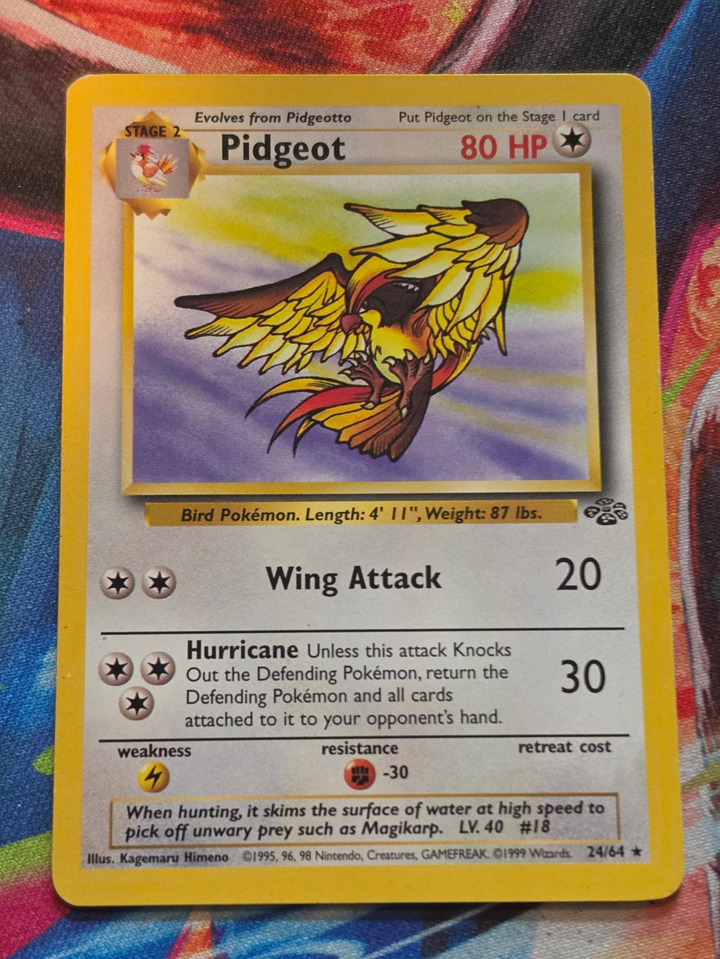 Pidgeot (24) 1st Edition Rare Jungle 24/64 LP Pokemon