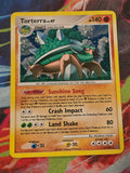 Torterra Holo Rare Stormfront 11/100 NM-/LP+