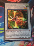 T.G. Recipro Dragonfly Rare Extreme Victory EXVC-EN039 LP
