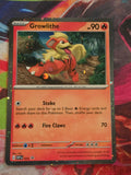 Growlithe - 024 - SV: Scarlet & Violet Promo Cards - Promo - NM Pokemon