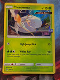 Pheromosa (Prerelease) Promo SM Promos SM115 LP Pokemon