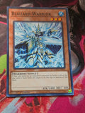 Blizzard Warrior Common Hidden Arsenal: Chapter 1 HAC1-EN030 LP