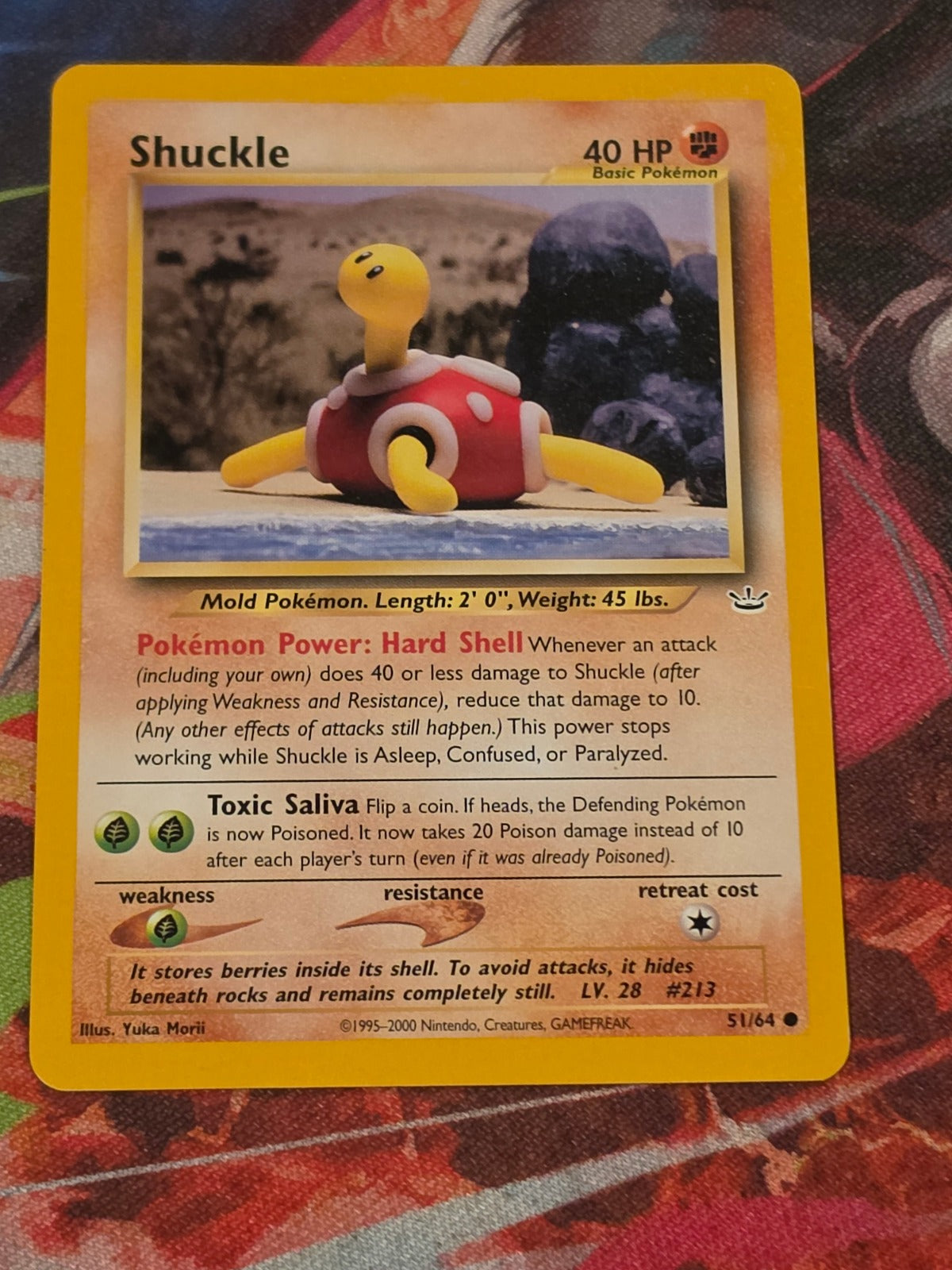 Shuckle - 51/64 - Neo Revelation - Common - Unlimited - LP Pokemon