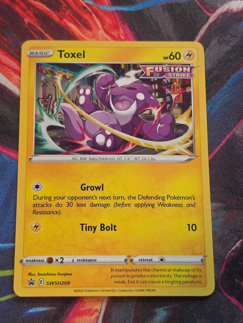 Toxel - SWSH209 - SWSH: Sword & Shield Promo Cards - Promo - NM-/LP+ Pokemon