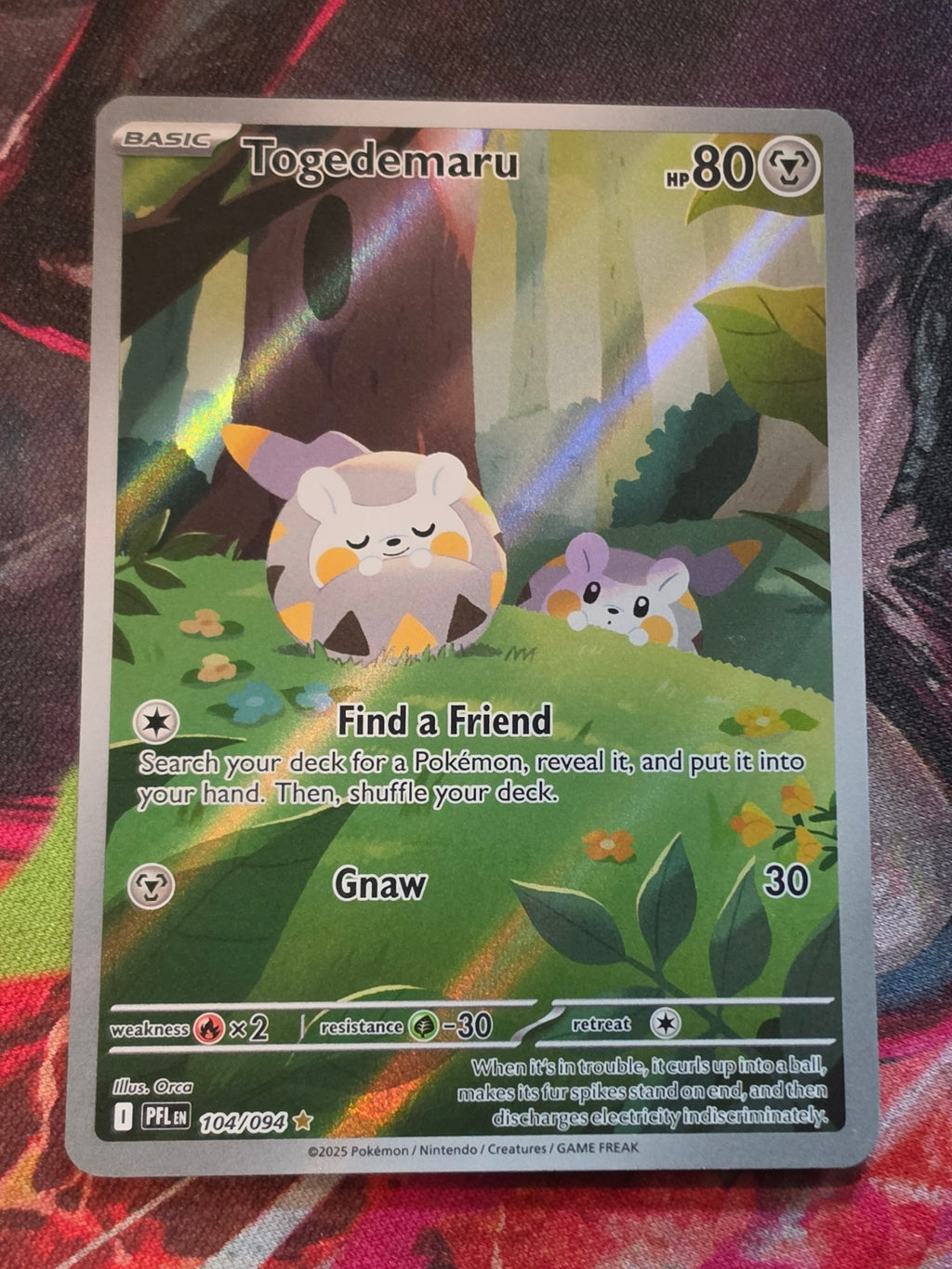 Togedemaru Illustration Rare Phantasmal Flames 104/094 NM Pokemon