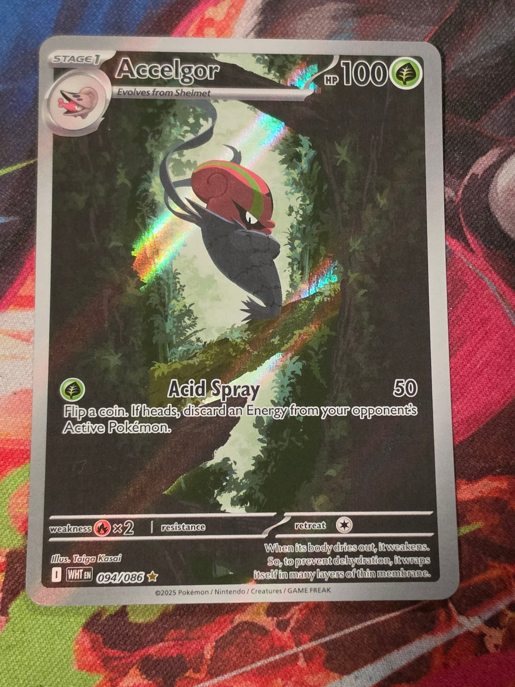 Accelgor Illustration Rare White Flare 094/086 NM Pokemon