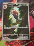 Accelgor Illustration Rare White Flare 094/086 NM Pokemon