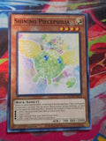 Shining Piecephilia Common Battle of Chaos BACH-EN032 LP
