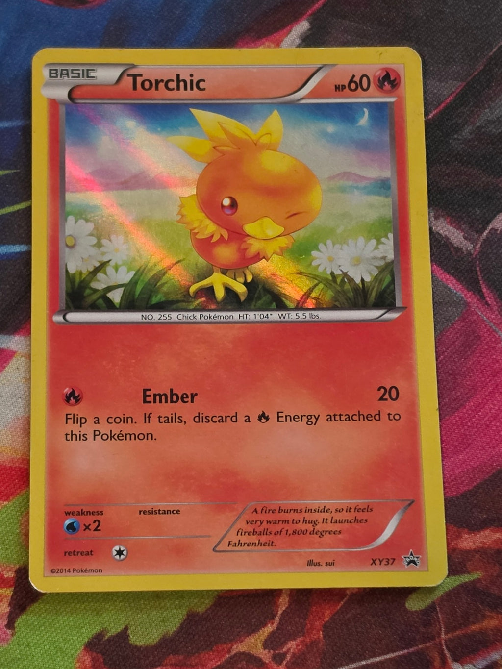 Torchic Promo XY Promos XY37 HP Pokemon