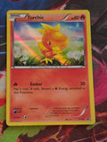 Torchic Promo XY Promos XY37 HP Pokemon