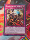 Dinomorphia Intact Common Cyberstorm Access CYAC-EN076 MP