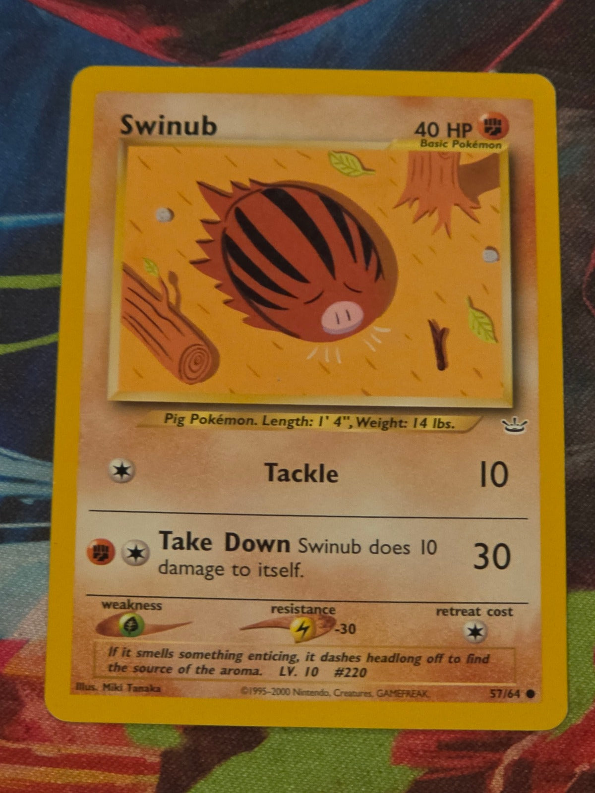 Swinub - 57/64 - Neo Revelation - Common - Unlimited - LP Pokemon