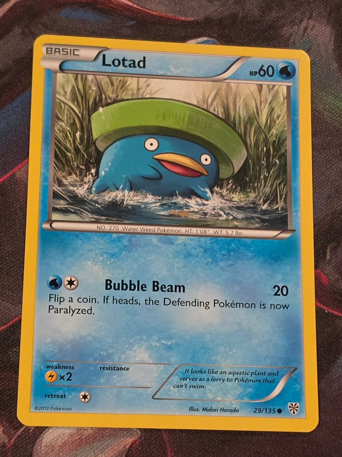 Lotad - 29/135 - Plasma Storm - Common - NM - Pokemon
