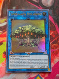 Sunavalon Dryanome Ultra Rare Ghosts From the Past GFTP-EN020 1st Edition NM Yu-Gi-Oh!