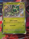 Sprigatito - 076 - SV: Scarlet & Violet Promo Cards - Promo - NM Pokemon