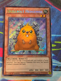 Quillbolt Hedgehog Secret Rare Legendary Collection 5D's LC5D-EN005 LP