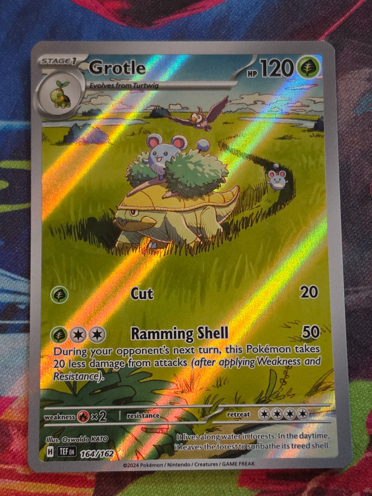 Grotle Illustration Rare SV05: Temporal Forces 164/162 NM Pokemon