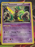 Trevenant (Prerelease) Promo XY Promos XY94 NM Pokemon