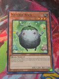 Naturia Rock Common Hidden Arsenal: Chapter 1 HAC1-EN094 LP