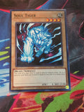 Soul Tiger Common Invasion of Chaos (25th Anniversary Edition) IOC-EN003 LP