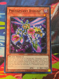 Predaplant Byblisp Common Dimension Force DIFO-EN017 LP