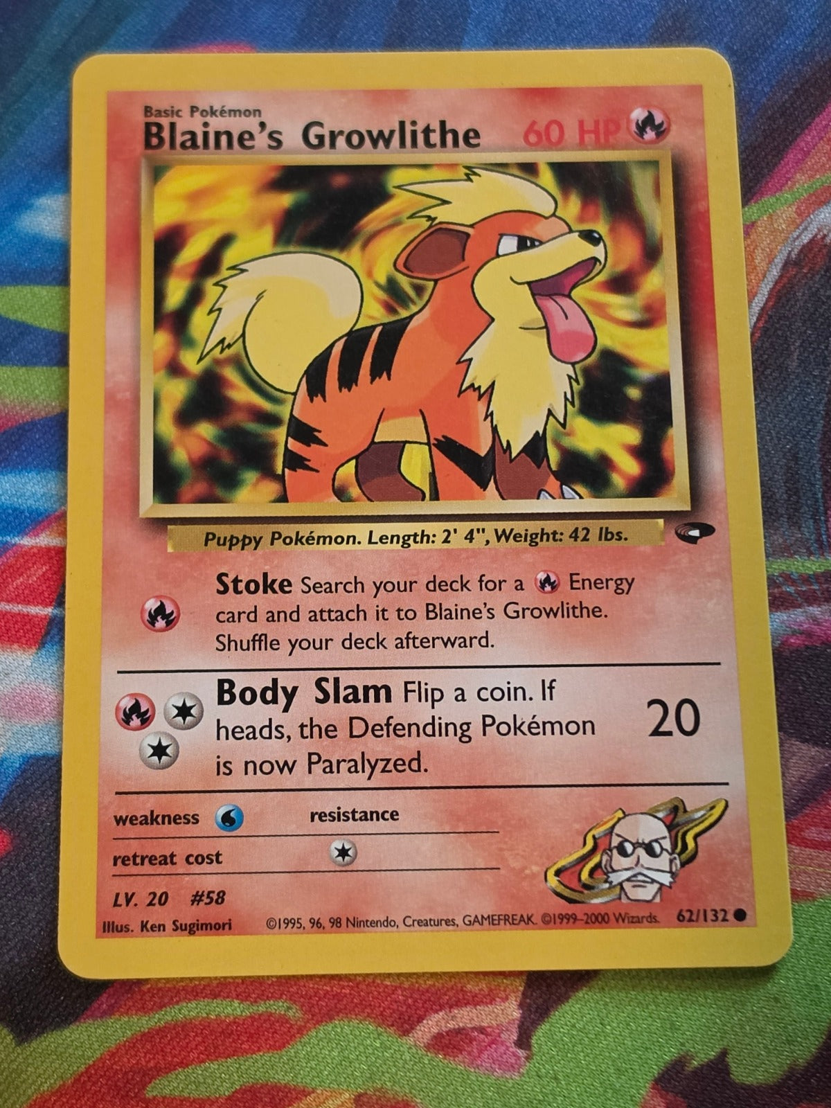 Blaine's Growlithe - 062/132 - Gym Challenge - Common - Unlimited - LP Pokemon