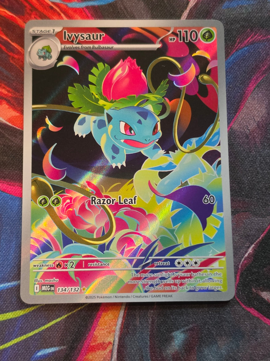 Ivysaur Illustration Rare ME01: Mega Evolution 134/132 NM Pokemon