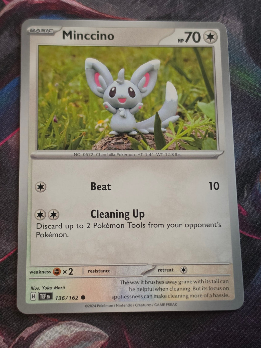 Minccino - 136/162 - SV05: Temporal Forces - Common - NM - Pokemon