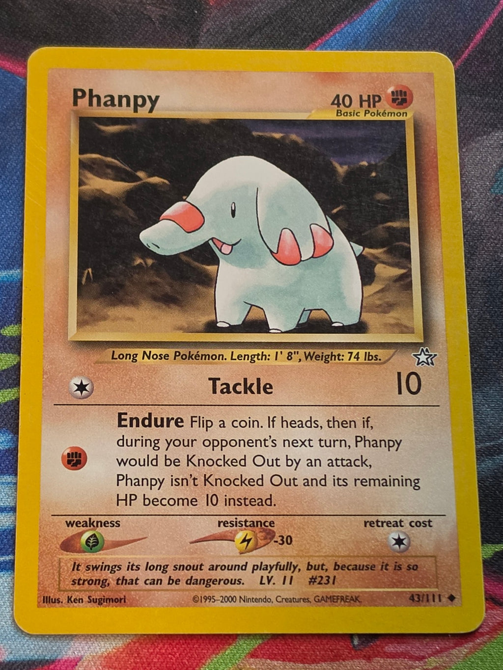 Phanpy - 043/111 - Neo Genesis - Uncommon - Unlimited - LP+ Pokemon