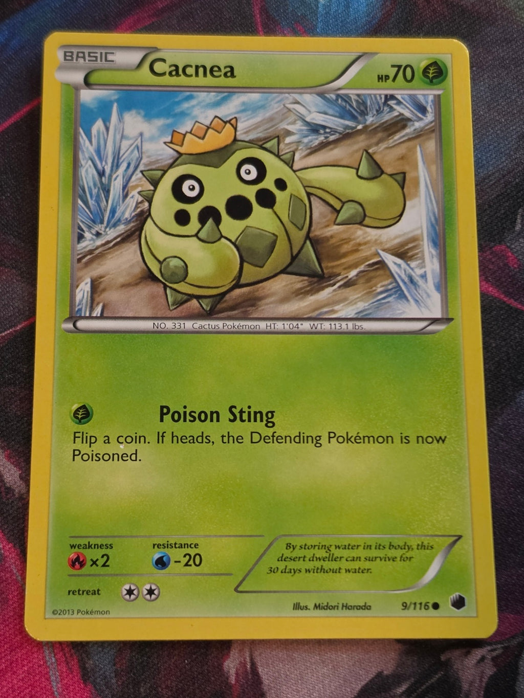 Cacnea - 9/116 - Plasma Freeze - Common - LP - Pokemon
