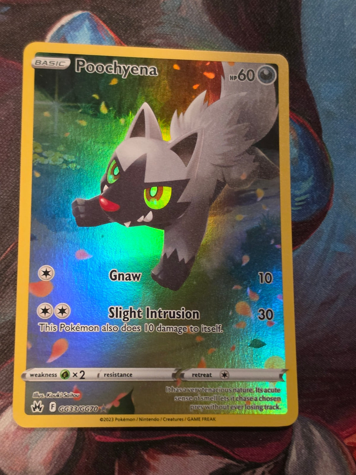 Poochyena Ultra Rare Crown Zenith Galarian Gallery GG33/GG70 NM Pokemon