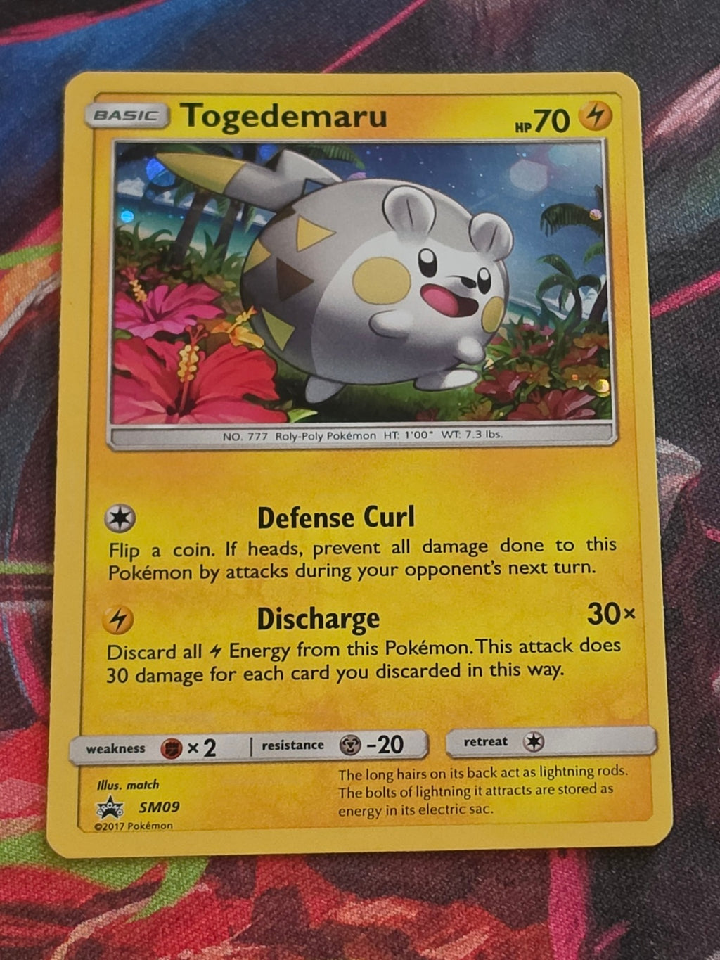 Togedemaru Promo SM Promos SM09 LP Pokemon