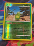 Budew - 43/130 - Diamond and Pearl - Uncommon - Reverse Holo - HP Pokemon