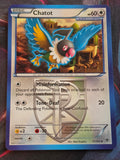 Chatot (Team Plasma) - 77/101 - Plasma Blast - Uncommon - LP - Pokemon