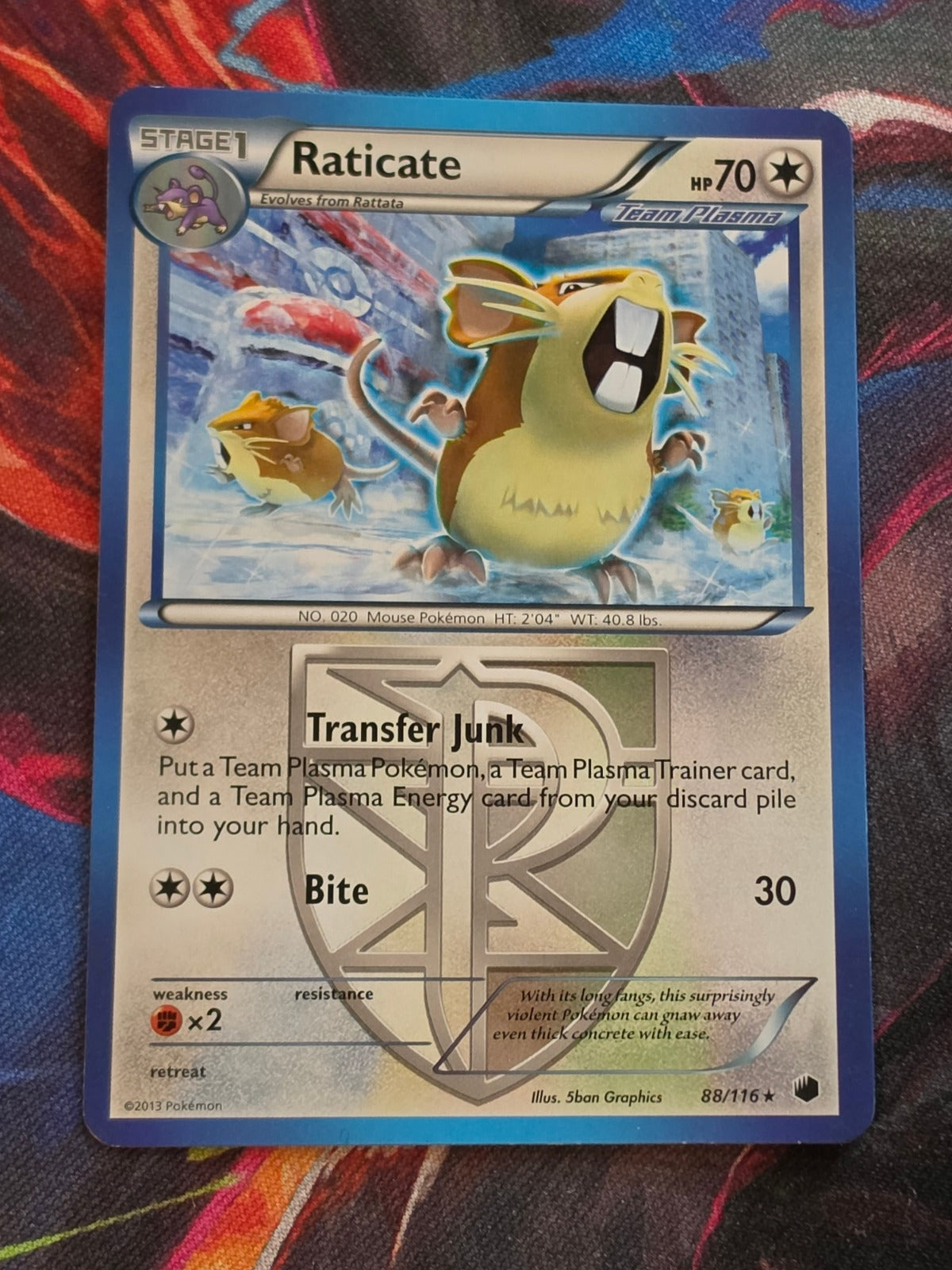 Raticate (Team Plasma) - 88/116 - Plasma Freeze - Rare - NM - Pokemon