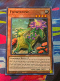 Flowerdino Common Battle of Chaos BACH-EN082 LP